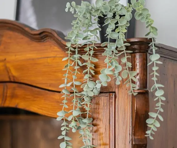 Niceone Number 5 - W Samym Centrum! شقة *