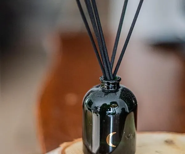 Niceone Number 5 - W Samym Centrum! * فروتسواف