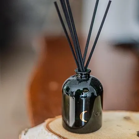 Niceone Number 5 - W Samym Centrum! * Vratislav